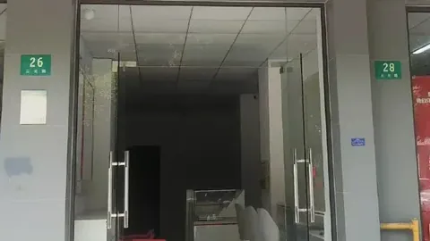 巴尔科拉替补未进，法国队逆袭成功，45亿先生亮相成谜，深度解读赛事内幕